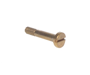 Pivot Bolt 21mm long, slotted head